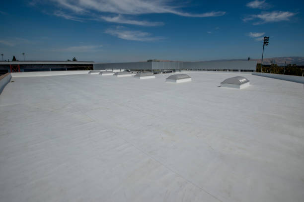Best Green or Eco-Friendly Roofing Solutions  in Placerville, CA