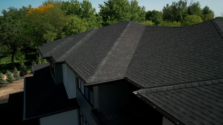 Best Siding  in Placerville, CA