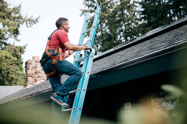 Best Roof Maintenance and Cleaning  in Placerville, CA